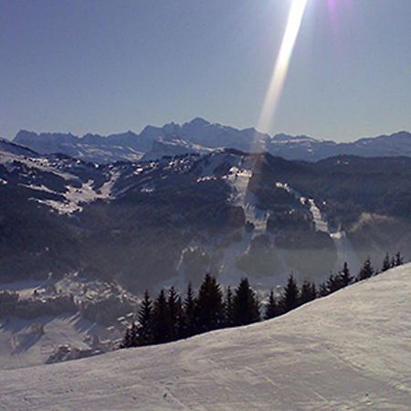 Les Gets Le Grand Paradis Exteriör bild